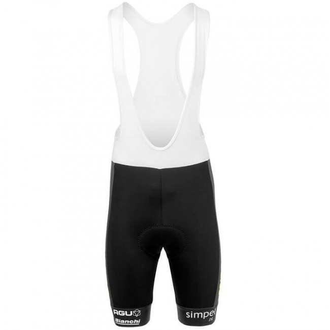 TEAM Jumbo-Visma 2019 Korte Fietsbroeken Bib